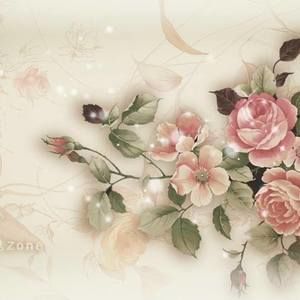 Meet your Posher, Vy